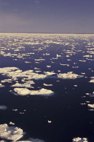 NA, Canada, Canadian Arctic, Baffin Island 2nd year ice melting (global warming)