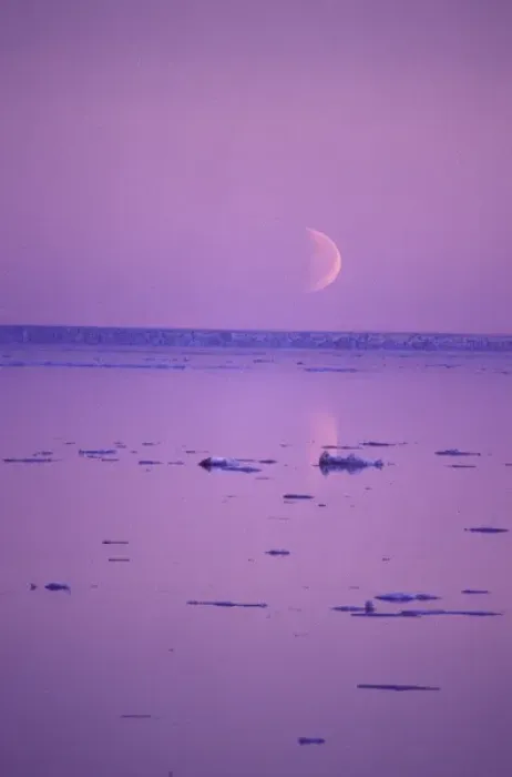 Framed Print : NA, Canada, Canadian Arctic, Baffin Island Moonrise, Foxe Basin