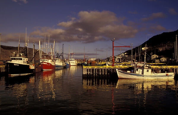 NA, Canada, Newfoundland, St. Johns Boats in St. Johns Harbor