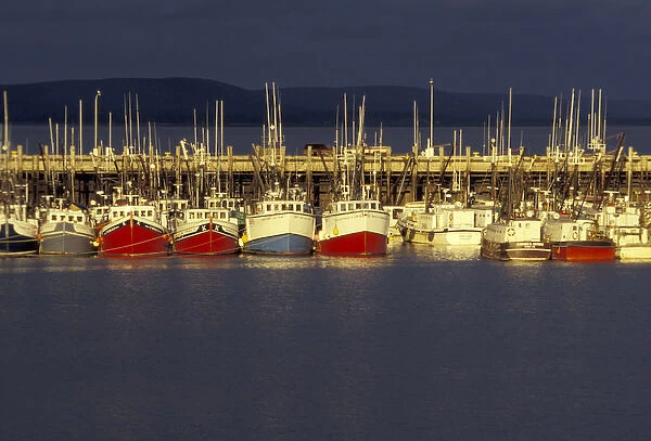 NA, Canada, Nova Scotia, Digby Digby scallop fleet