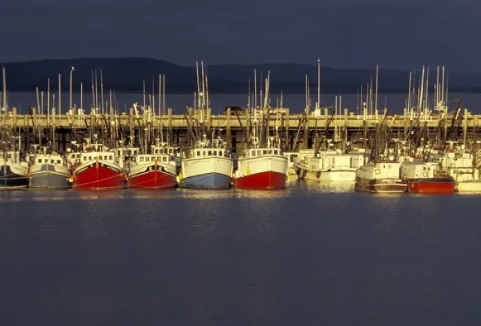 Framed Print : NA, Canada, Nova Scotia, Digby Digby scallop fleet