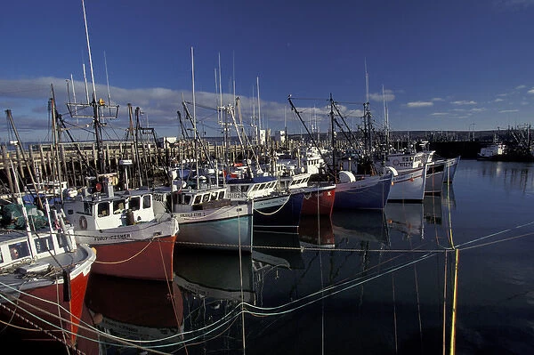 NA, Canada, Nova Scotia, Digby Fishing fleet