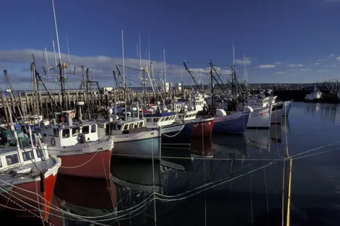Framed Print : NA, Canada, Nova Scotia, Digby Fishing fleet