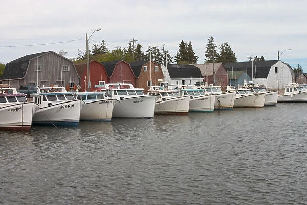 NA, Canada, Prince Edward Island. Malpeque Harbour