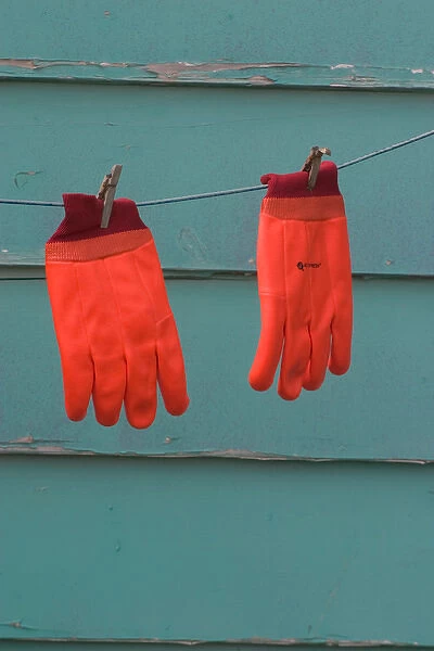 NA, Canada, Prince Edward Island, Malpeque Harbour. Gloves used by lobster fishermen