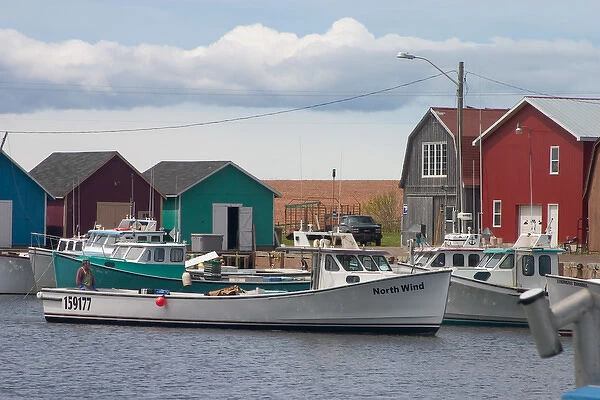 NA, Canada, Prince Edward Island, Malpeque Harbour. Lobster boats and fish sheds