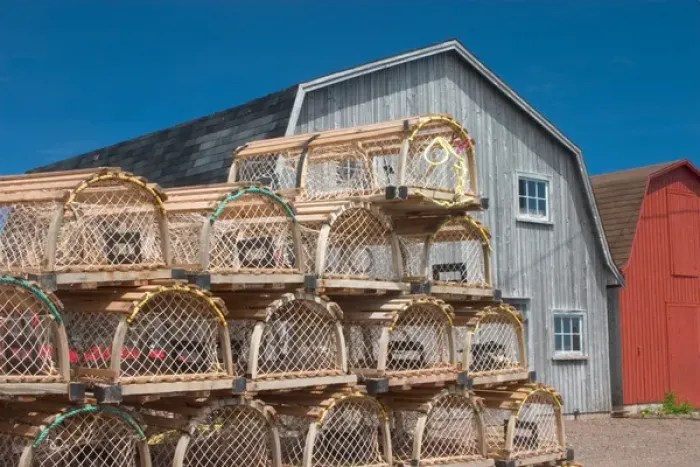 Framed Print : NA, Canada, Prince Edward Island, Malpeque Harbour. Lobster pots and fish sheds