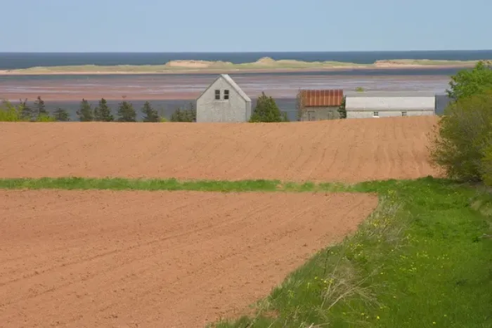 Framed Print : NA, Canada, Prince Edward Island, Springbrook. Field ready for planting and barns