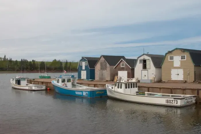 Framed Print : NA, Canada, Prince Edward Island, New London. Fishing sheds and lobster boats in harbour