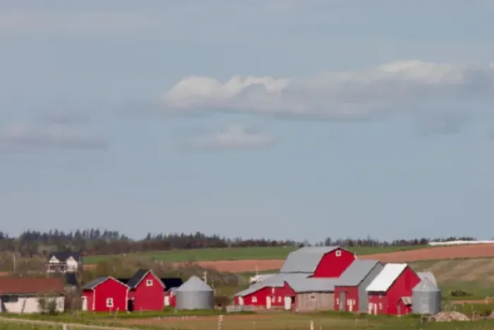 Framed Print : NA, Canada, Prince Edward Island. Country farm