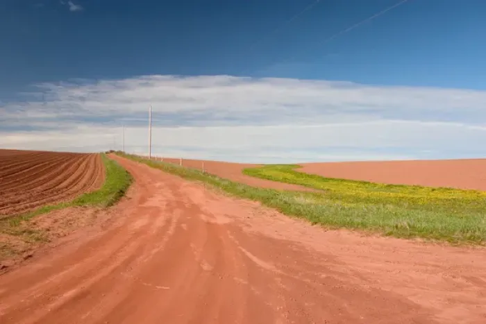 Framed Print : NA, Canada, Prince Edward Island. Country road