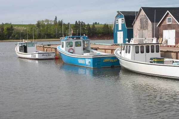 NA, Canada, Prince Edward Island, New London. Fishing sheds and lobster boats in harbour