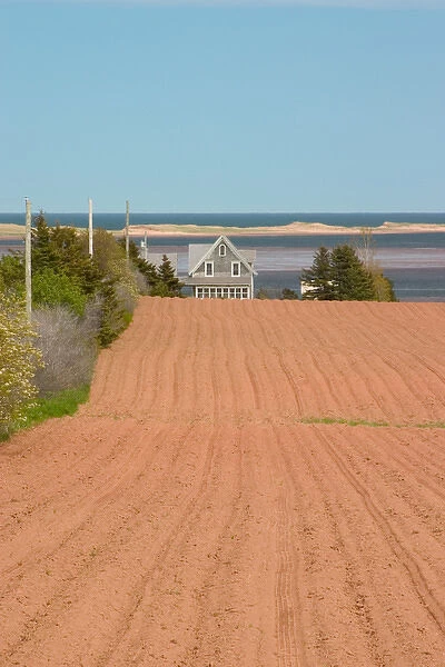 NA, Canada, Prince Edward Island, Springbrook. Field ready for planting and home