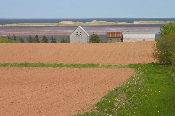 NA, Canada, Prince Edward Island, Springbrook. Field ready for planting and barns