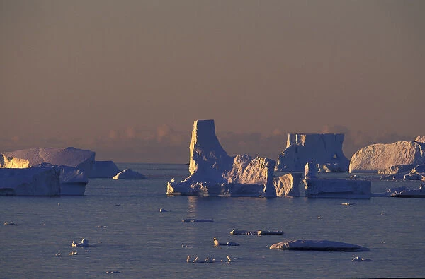 NA, USA, Alaska, Antarctic Peninsula, Bismark Strait, Petermann Island. Tabular icebergs