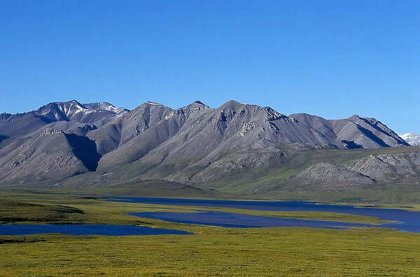 NA, USA, Alaska, Brooks Range, Alaska National Wildlife Refuge, View of the tundra
