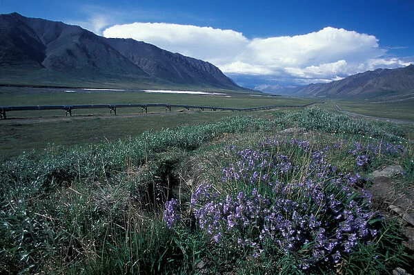 NA, USA, Alaska, Brooks Range, James Dalton Highway and Trans-Alaska Pipeline