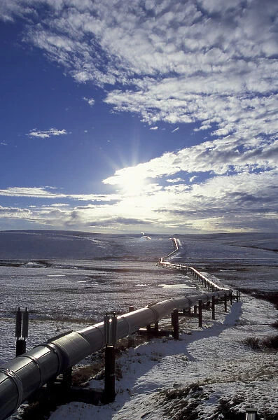NA, USA, Alaska, Brooks Range, North Slope Trans-Alaska Pipeline in winter