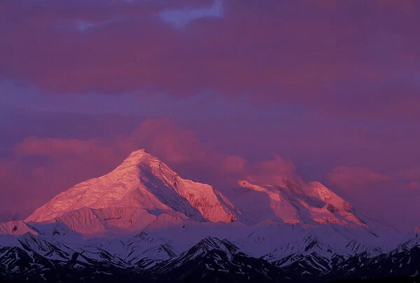 NA, USA, Alaska, Denali National Park. Bright red Alpenglow on Alaska Range peaks