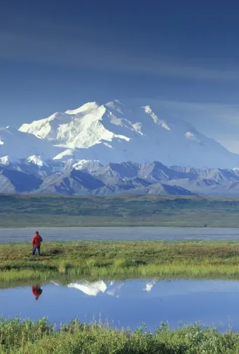 Framed Print : NA, USA, Alaska. Denali National Park. Hiker viewing Mount MicKinley Framed Print : NA, USA, Alaska. Denali National Park. Hiker viewing Mount MicKinley