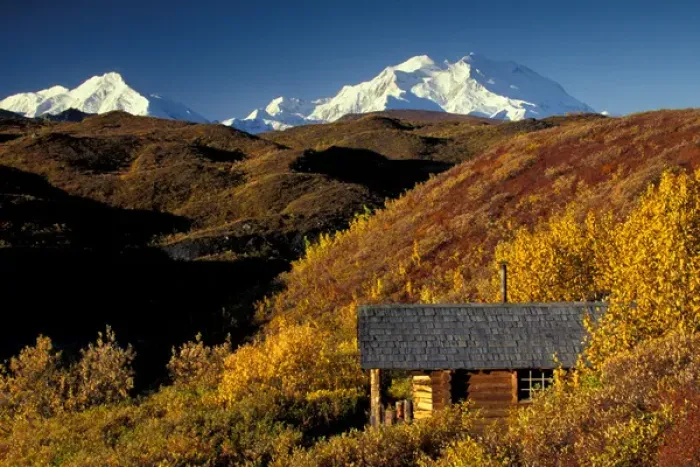 Framed Print : NA, USA, Alaska, Denali NP, Denali, towers over a log cabin on fall tundra