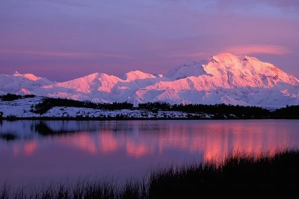 NA, USA, Alaska, Denali NP, Mt. McKinley, Denali in late evening alpenglow