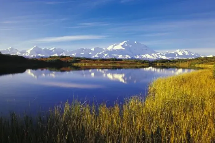 Framed Print : NA, USA, Alaska, Denali NP Mt. McKinley in Reflection Pond, autumn colors Framed Print : NA, USA, Alaska, Denali NP Mt. McKinley in Reflection Pond, autumn colors