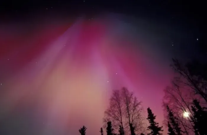 Framed Print : NA, USA, Alaska, Fairbanks. Curtains of purple, red and green Northern Lights above Framed Print : NA, USA, Alaska, Fairbanks. Curtains of purple, red and green Northern Lights above