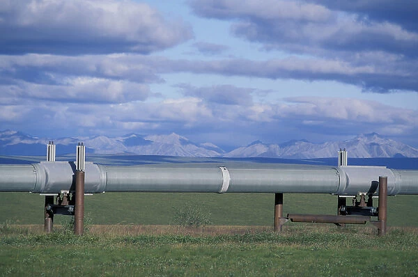 NA, USA, Alaska, north slope of Brooks Range Trans-Alaska Oil Pipeline snakes