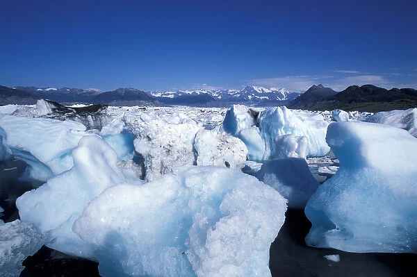 NA, USA, Alaska, Prince William Sound, Chugach Mountains, Massive icebergs from the