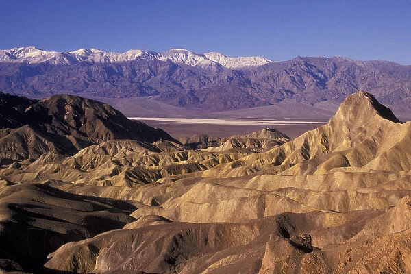 NA, USA, California. Death Valley National Park. Zabriskie Point, eroded badlands