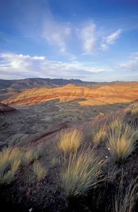 Framed Print : NA, USA, Central Oregon, John Day Fossil Beds NM, Painted Hills Unit Framed Print : NA, USA, Central Oregon, John Day Fossil Beds NM, Painted Hills Unit