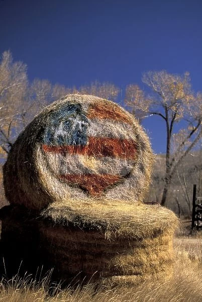 NA, USA, Colorado, Gunnison. Patriotic hay roll with US flag; patriotism