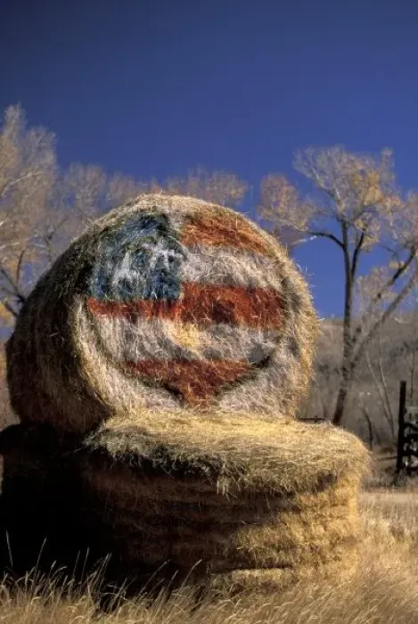 Framed Print : NA, USA, Colorado, Gunnison. Patriotic hay roll with US flag; patriotism Framed Print : NA, USA, Colorado, Gunnison. Patriotic hay roll with US flag; patriotism