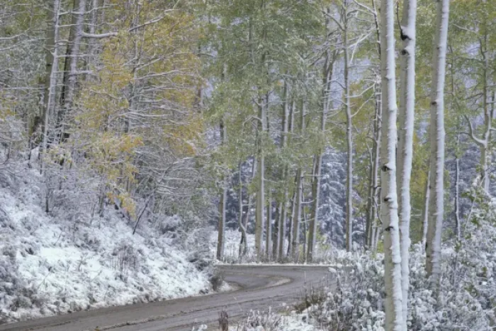 Framed Print : NA, USA, Colorado, Kebler Pass Fresh snow, autumn snow storm, Kebler Pass Road
