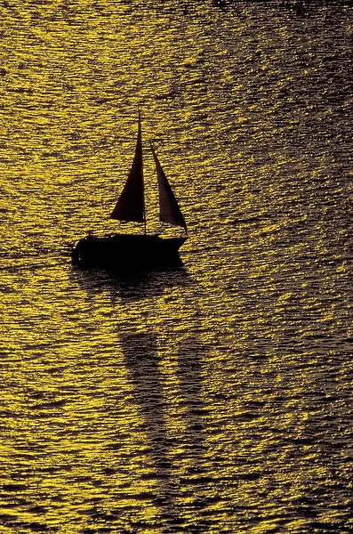 NA, USA, Florida, Ft. Myers Sailing at sunset