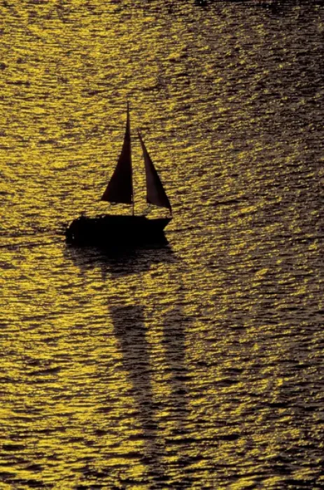 Framed Print : NA, USA, Florida, Ft. Myers Sailing at sunset Framed Print : NA, USA, Florida, Ft. Myers Sailing at sunset