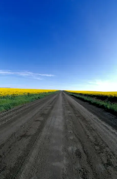 Framed Print : Na, USA, ID, Grangeville, Road Running through Canola Fields Framed Print : Na, USA, ID, Grangeville, Road Running through Canola Fields