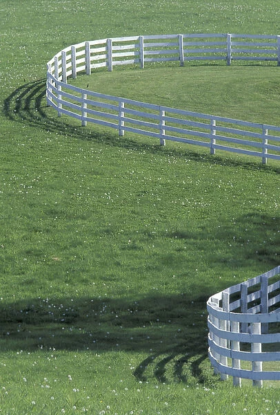 NA, USA, Kentucky, Lexington White fence on horse farm (Not property released)