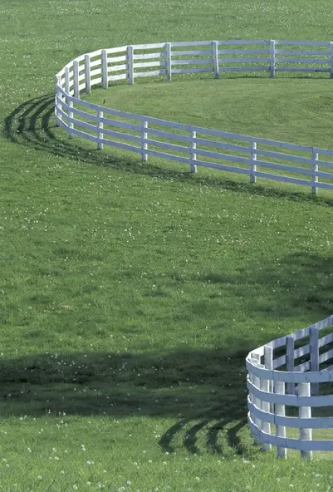 Framed Print : NA, USA, Kentucky, Lexington White fence on horse farm (Not property released)