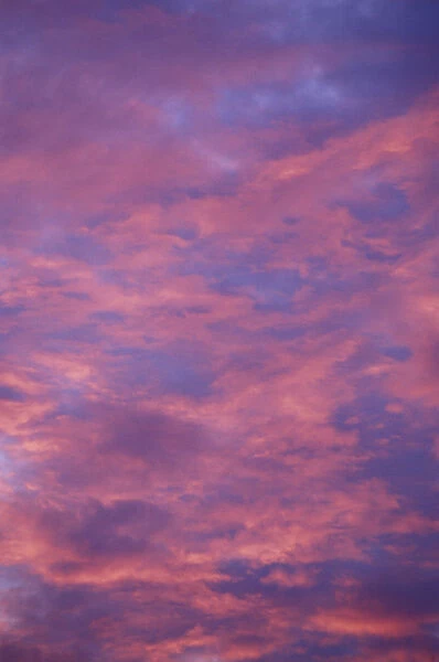 NA, USA, Kentucky, Louisville Clouds at sunset