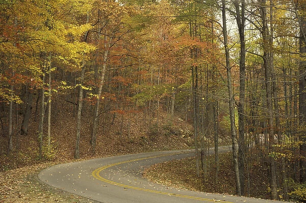 NA, USA, Kentucky, Pine Mountain State Park Road winding through autumn colors