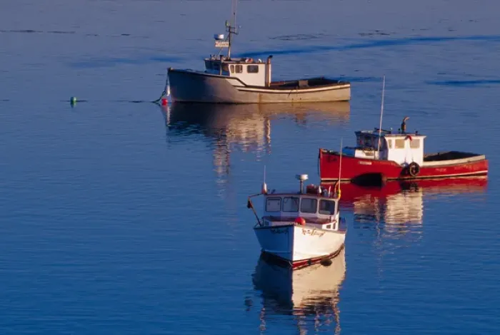 Framed Print : NA, USA, Maine. Lobster boats out at sunset in Lubec Framed Print : NA, USA, Maine. Lobster boats out at sunset in Lubec