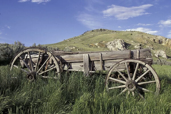 NA, USA, Montana, Bannack Old wagon made of wood in green grass near mining ghost
