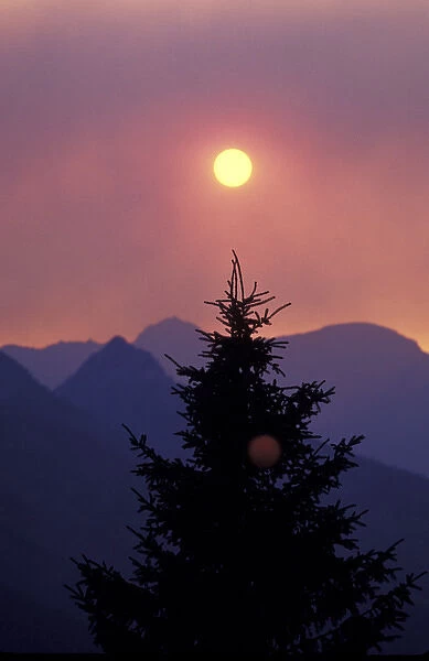 NA, USA, Montana, Glacier NP Sunset through forest fire smoke