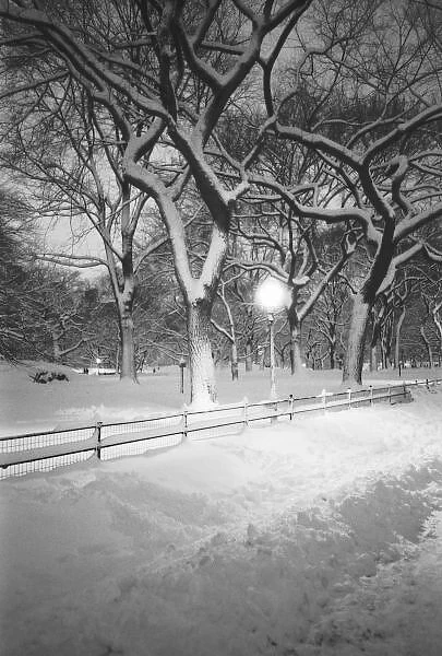 NA, USA, New York, New York City. Snow, covered promenade in Central Park