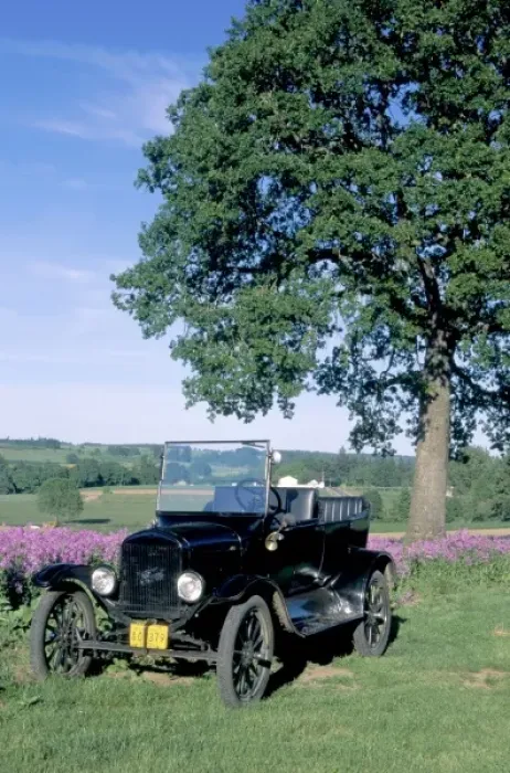 Framed Print : NA, USA, Oregon. Ford Model T near field of Dames Rocket