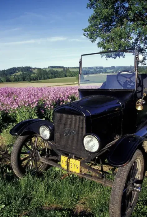 Framed Print : NA, USA, Oregon, near Silverton Model-T Ford in field with dames rocket PR Framed Print : NA, USA, Oregon, near Silverton Model-T Ford in field with dames rocket PR