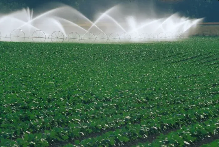 Framed Print : NA, USA, Oregon. Sprinkler system in crop Framed Print : NA, USA, Oregon. Sprinkler system in crop