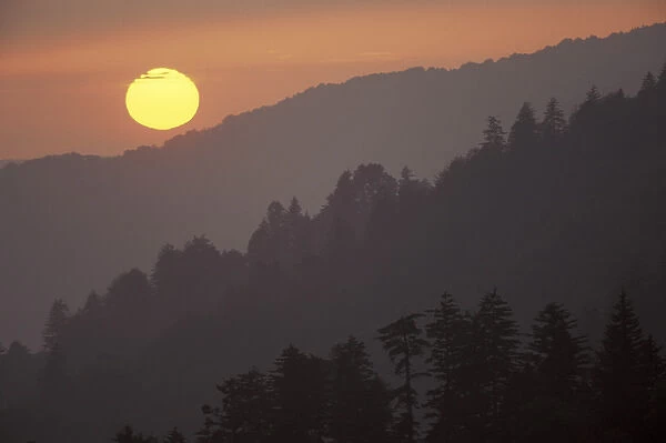 NA, USA, Tennessee, Great Smoky Mountains NP Sunset from Morton Overlook